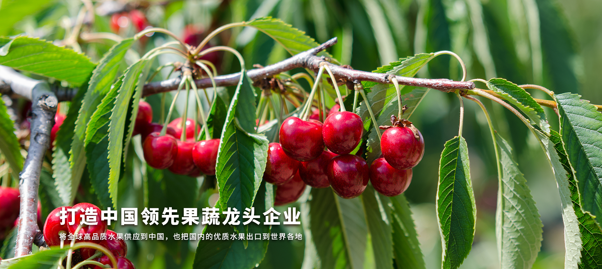 power supply excellent